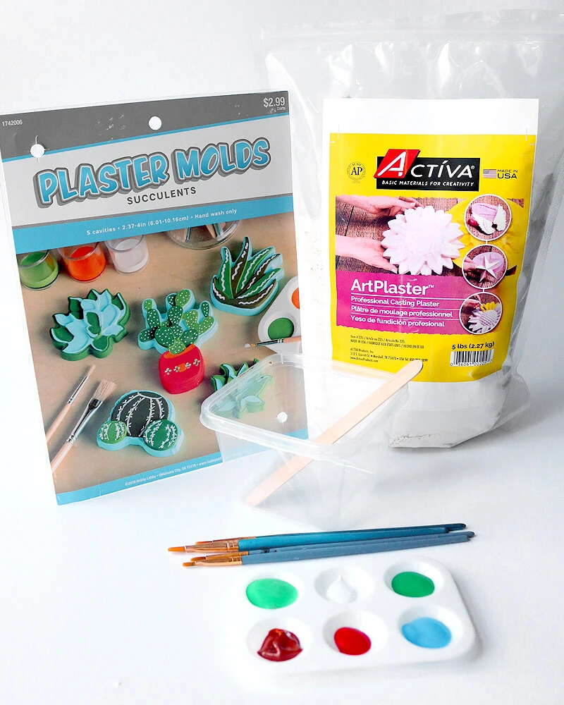 Decorative Plaster Succulents with ArtPlaster™